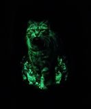 Raffiniertes Shirt Katzenfamilie - die Katzen leuchten in der Dunkelheit