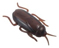 Scherzartikel Kakerlake, die über den Tisch laufen kann - Das ist der Brüller